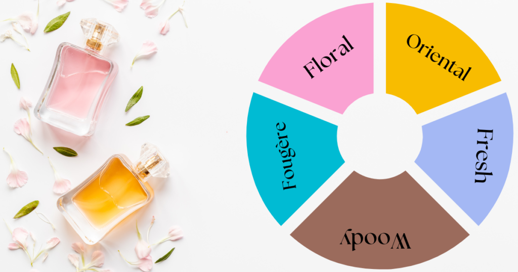 A diagram of the Fragrance Wheel, divided into sections labeled floral, oriental, fougère, fresh, and woody. Each section has examples of scents associated with it.