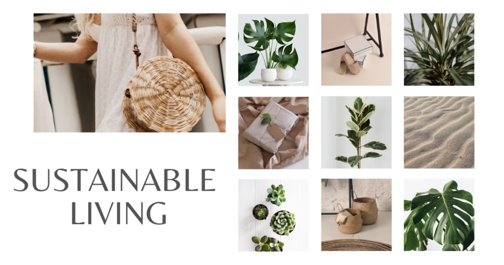 image of designs for sustainable living 