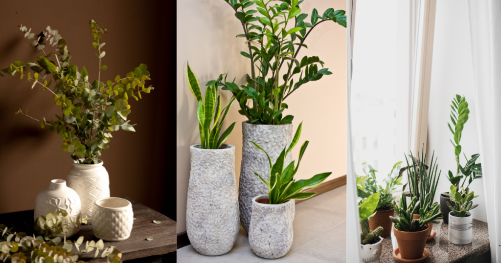 Three potted plants on a table by a window
